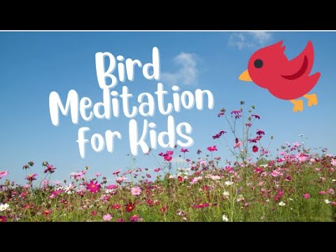Mindfulness Meditation for Kids (Bird)