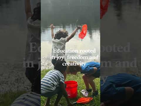 freedom in education