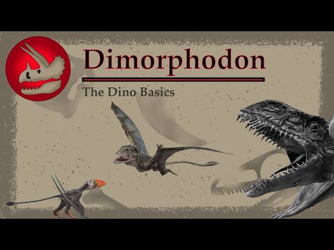 The Toothy Jurassic Flier | Dimorphodon | Dino Basics
