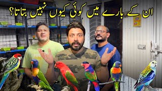 Sab Se Zyada Profit Wala Bird Lory 📈 || Smart Investment || Setup Upgrade || #birdbusinessideaathome