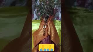 jai Tulsi maiya 🙏#shortvideo #youtube #kartikmass