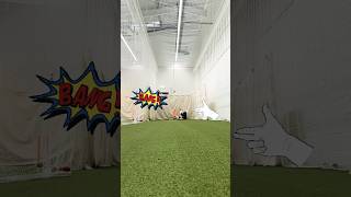#bolabatting #cricketshorts #cricket #graynicolls #bigbashleague2024