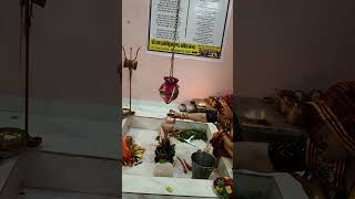 श्री शिवायनमस्तुभ्यं#jal Arpit karte samay yah Mantra bole#laddugopalshorts