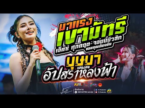 เขามัทรี + บุษบา  + อัปสราหลงฟ้า + สัญญาเดือนหก + หลอยมาหาแหน่ | น้ำแข็ง ทิพวรรณ #แสดงสดRerun