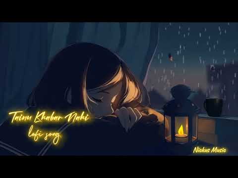 Tainu Khabar Nahi | Lofi song | Nickus Music