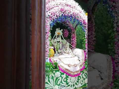 radha ballabh lal darshana#shortsfeed #shorts #vrindavan #bhakti #bhajanmarg
