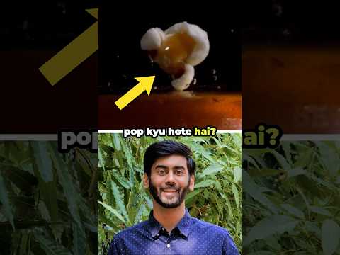 Why popcorns pop #shorts #interestingfacts