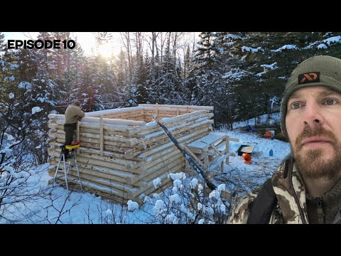 Winter Log Cabin Build on Off-Grid Homestead |EP10|