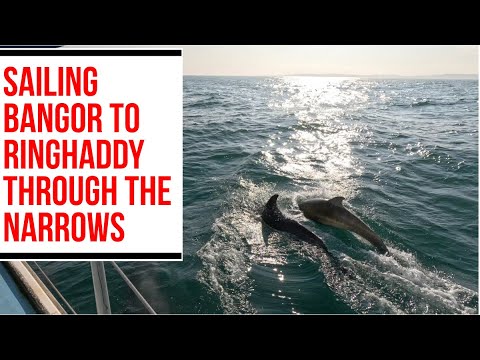 ⊹ ࣪ ﹏𓊝﹏𓂁﹏⊹Sailing From Bangor Marina to Ringhaddy in Strangford Lough via the Narrows ⊹ ࣪ ﹏𓊝﹏𓂁﹏⊹