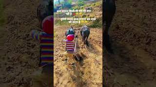 #dogrimusic #likeforlikes #pahadifolkmusic #song #dogrifolksong
