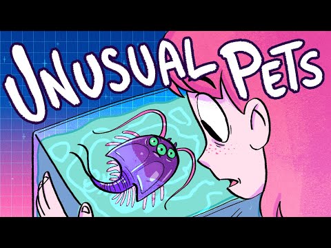 Unusual Pets I had as a Kid