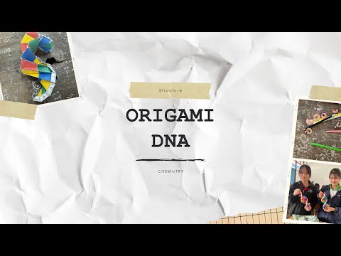 Origami DNA