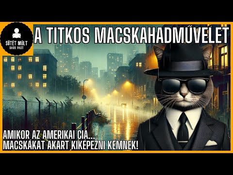 Amikor Amerika egy macskát képzett ki kémnek