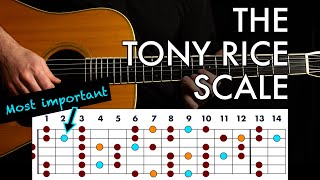 Master the Tony Rice Scale in 4 Steps // Bluegrass Guitar Lesson