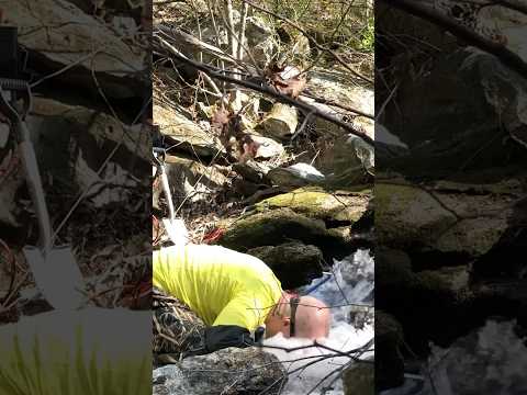 #Short - Hidden Gold Discovered Beneath NC Waterfall with GoldiBox Backpack Dredge!