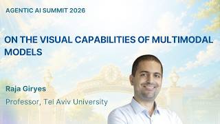 Raja Giryes - On the Visual Capabilities of Multimodal Models
