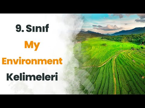 9. Sınıf İngilizce 2. Ünite Kelimeleri (My Environment) - Testli + PDF