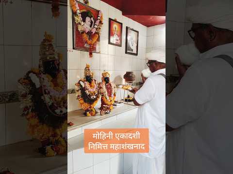 मोहिनी एकादशी निमित्त महाशंखनाद #शंखनाद #महाशंखनाद #जयहरीविठ्ठल #विठ्ठल #एकादशी #जयश्रीराम