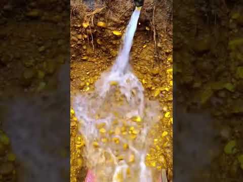 Gold Mining Process | Extracting Real Gold from the Mine #shorts #gold #amazing