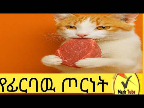 በማንኛውም  ሰአት ወደ እኔ ሊንደረደር ይችላል ?