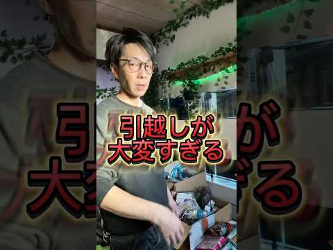 お引越しをはじめました！最近ありがたいことに用品をいただく事が多くなりました。今後はビニールハウスでの運営になりますが今はハウスが無いのでマルシェなんかにも参加#金魚#動物#熱帯魚#長野県#動物保護