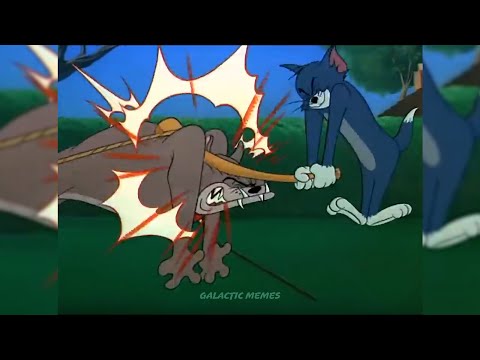 BONK (Freddie Opaul meme)