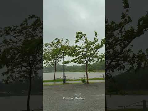 People who love nature are amazing🥺❤️