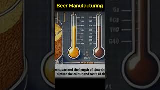 Beer Manufacturing process #shorts #businessideas