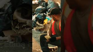 Huge snake ruins payday #snake #viral #viralvideo #trending #foryou #new #payday #fy #fyp #fypage