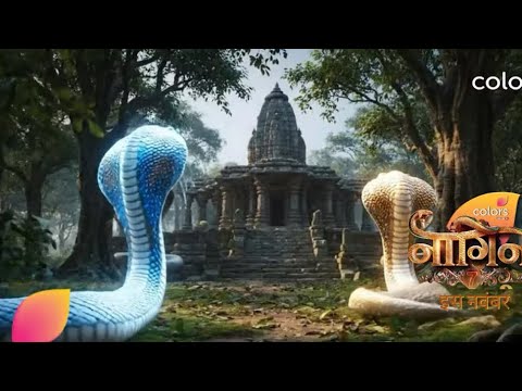 Naagin Season 7 Promo | Coming Soon only on #Colorstv #Naagin7 #BiggBoss19#november