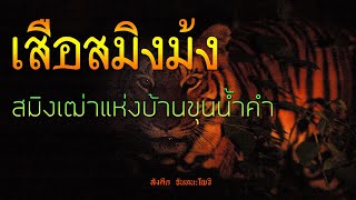 เรื่องลี้ลับ EP84 เสือสมิงม้งขุนน้ำคำ  | เรื่องเล่าจากดงดอย