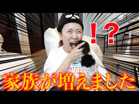 【同棲します】俺がお前を守るから....