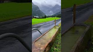 Beautiful 😍 Nature best moment 🥰 shorts# #shortfeed #viralvideo #shortfeedshortfeed #bollywood #feed