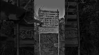 Instagram Trending Blur Effect Video #blurvideotutorial #blurvideo #alightmotion #trending #shorts