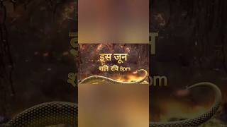 Naagin 7 new promo | colorstv #naagin7promo #naagin7teaser #new #naagin7newupdate #naagin #colorstv
