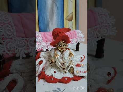 Laddu Gopal ratri seva 🫣#krishna #laddugopal🤗 #love ❤️#manjukalala ▶️😍