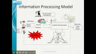 Information Processing Model