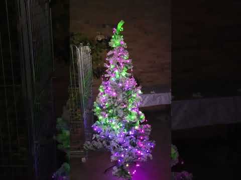hypnotic christmas tree and a mouth breather