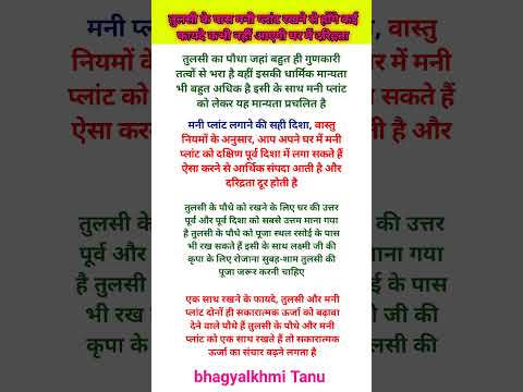 तुलसी के पास मनी प्लांट रखने से होंगे कई फायदे कभी नहीं आएगी घर में दरिद्रता#hinduceremony #vastu