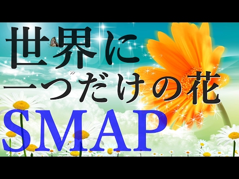 世界に一つだけの花/スマップ 歌詞付き💎高音質フル🎧Sekai ni Hitotsu dake no Hana🌷SMAP(cover)