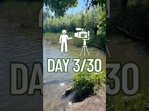 Day 3 of #30daychallenge of talking to a camera every day