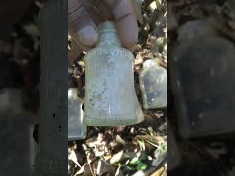 random old bottles found mushroom hunting