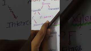 Short tricks for ANATOMY OF FLOWERING PLANTS  NEET Class11 #neettricks #neetshorttrick #neet#biology