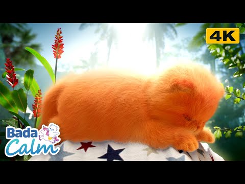 [4K] Sleep Meditation for Kids | Sleepy | Badanamu Calm