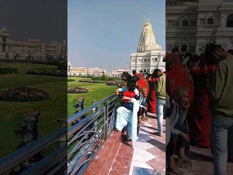 vrindavan jaugi sakhi #premmandir #short #shorts #trnding #holi#vrindavan #viral#up79