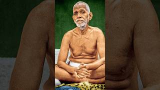 #ramanamaharshi #jeevasamathi #cave