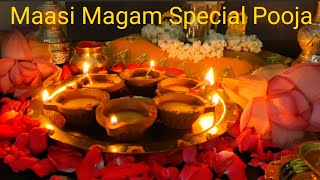 மாசி மகம்  அன்று Special பூஜை in Home I Special Vilakku Pooja