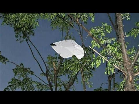 kite Flying Pattang Bazi 6G Kup Flight In Lahore Part ( 1 ) #patangbazi #kiteflying #lahore #repost