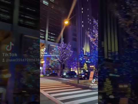 2024年11月23日