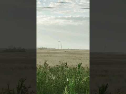 wind generators 🌀 #windgenerator #mariachi #travel